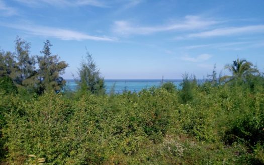 Oceanfront Plot, East Coast Zanzibar Island