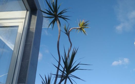 Luxury Penthouse In Cascais