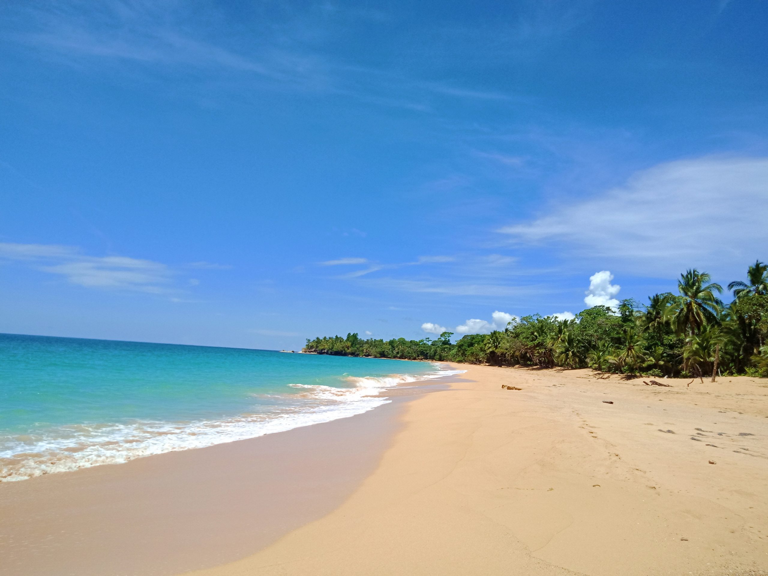 Bluff Beach Acreage, Bocas del Toro, Panama - Espatriati