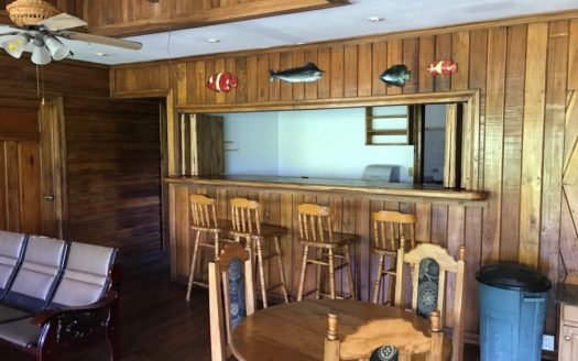 Rainforest Life At The Inn, Bocas del Toro, Panama