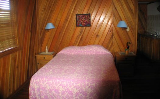 Rainforest Life At The Inn, Bocas del Toro, Panama