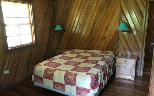 Rainforest Life At The Inn, Bocas del Toro, Panama