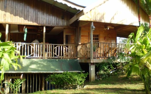 Rainforest Life At The Inn, Bocas del Toro, Panama
