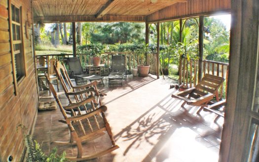 Rainforest Life At The Inn, Bocas del Toro, Panama