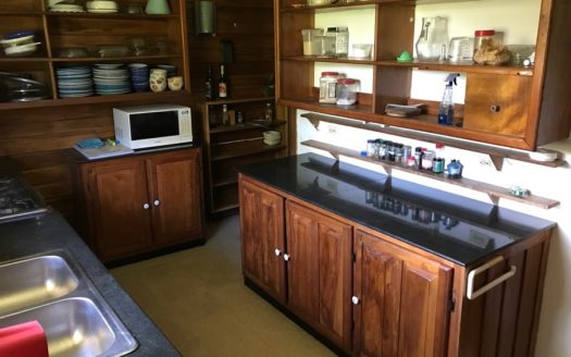 Rainforest Life At The Inn, Bocas del Toro, Panama