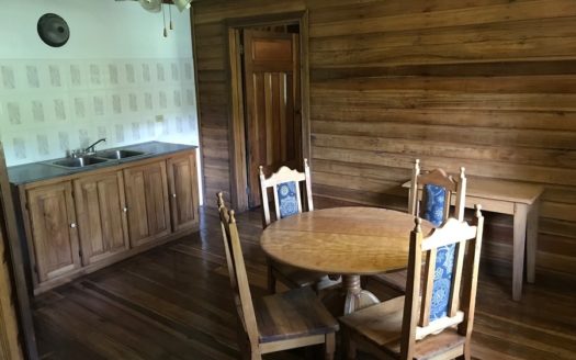 Rainforest Life At The Inn, Bocas del Toro, Panama