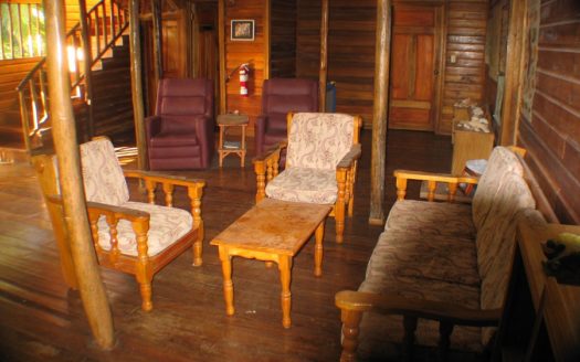 Rainforest Life At The Inn, Bocas del Toro, Panama