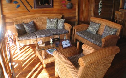 Rainforest Life At The Inn, Bocas del Toro, Panama