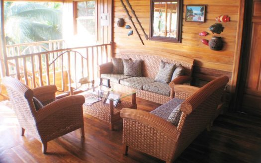 Rainforest Life At The Inn, Bocas del Toro, Panama