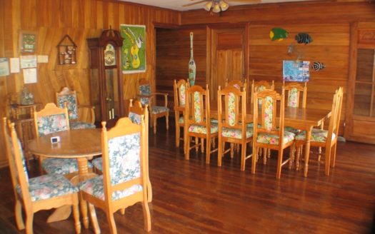 Rainforest Life At The Inn, Bocas del Toro, Panama