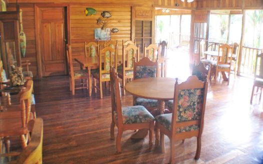 Rainforest Life At The Inn, Bocas del Toro, Panama