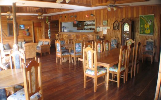 Rainforest Life At The Inn, Bocas del Toro, Panama