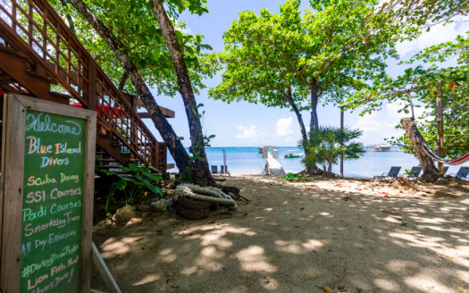 Boutique Dive Resort on the Island of Roatan