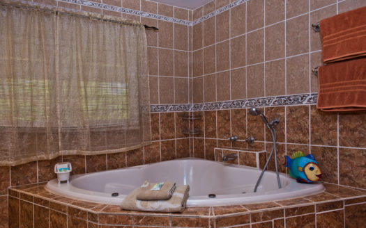 Bird Lover Estate With Multiple Homes On 50 Acres