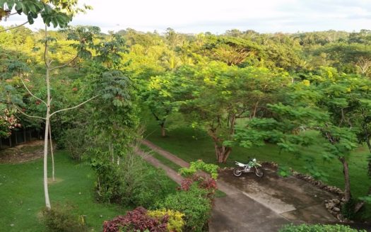 Bird Lover Estate With Multiple Homes On 50 Acres