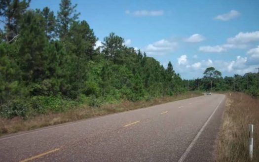 Stann Creek, Belize Wildlife Corridor Land