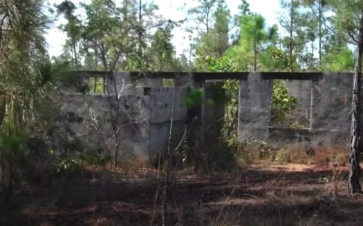 Stann Creek, Belize Wildlife Corridor Land