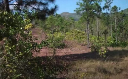 Stann Creek, Belize Wildlife Corridor Land