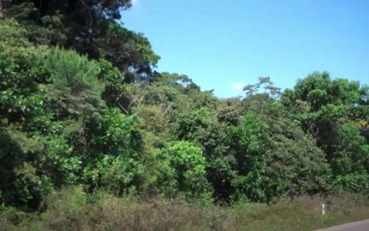 Stann Creek, Belize Wildlife Corridor Land