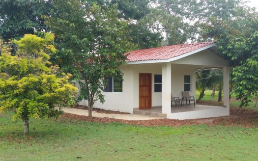 Bird Lover Estate With Multiple Homes On 50 Acres