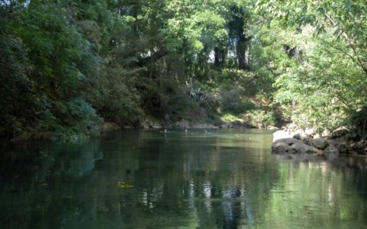 Bird Lover Estate With Multiple Homes On 50 Acres