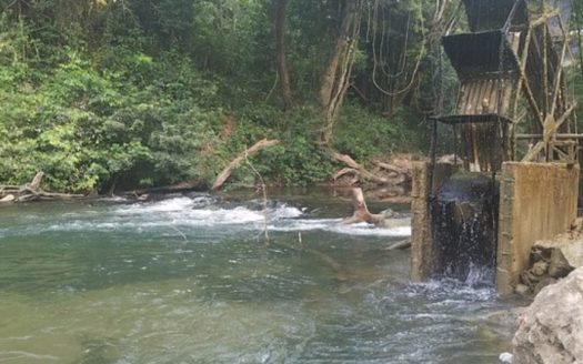 Bird Lover Estate With Multiple Homes On 50 Acres