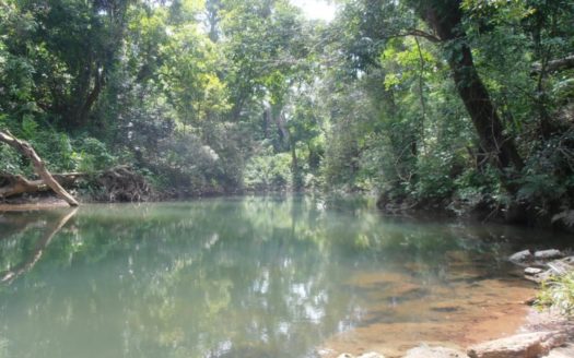 Bird Lover Estate With Multiple Homes On 50 Acres