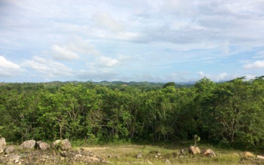 Bird Lover Estate With Multiple Homes On 50 Acres