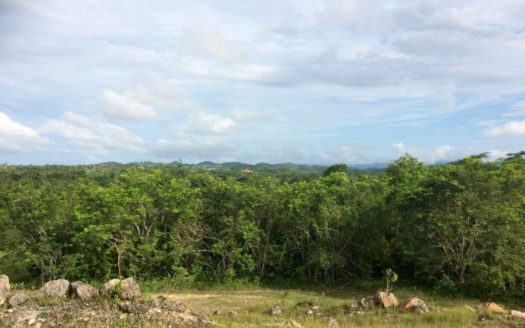 Bird Lover Estate With Multiple Homes On 50 Acres