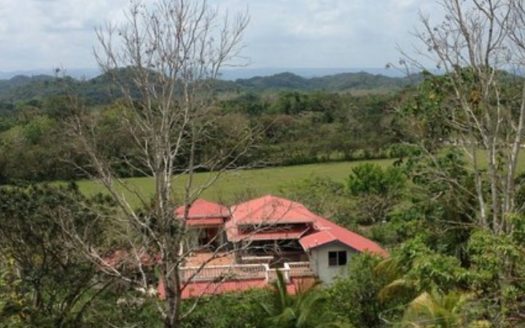 Bird Lover Estate With Multiple Homes On 50 Acres