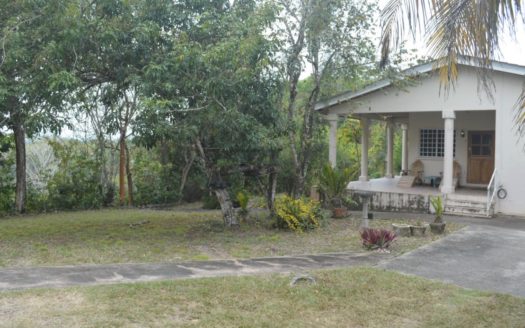 Bird Lover Estate With Multiple Homes On 50 Acres