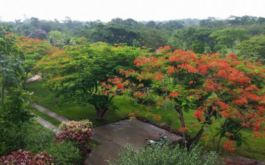 Bird Lover Estate With Multiple Homes On 50 Acres