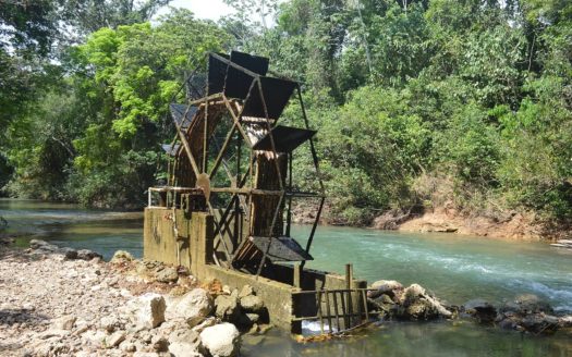 Bird Lover Estate With Multiple Homes On 50 Acres