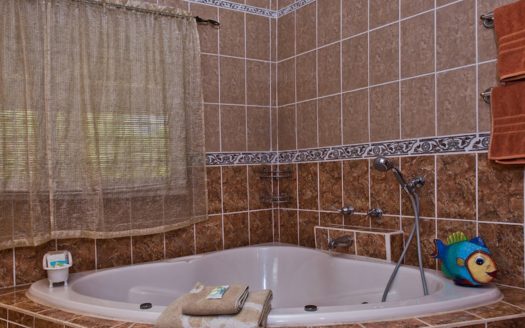 Bird Lover Estate With Multiple Homes On 50 Acres