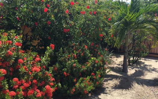 Large Home, Perfect For Big Groups And Vacation Rental Income