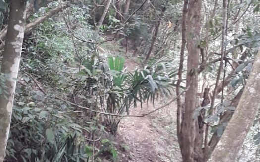 Secluded Riverfront Resort Near San Ignacio