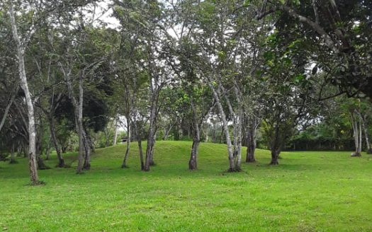 Secluded Riverfront Resort Near San Ignacio