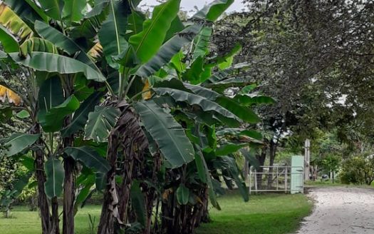 Secluded Riverfront Resort Near San Ignacio