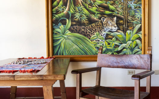 Belize Estate In San Ignacio With 23 Acres Of Beauty