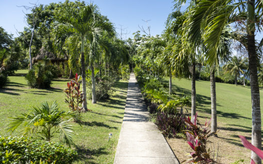 Belize Estate In San Ignacio With 23 Acres Of Beauty