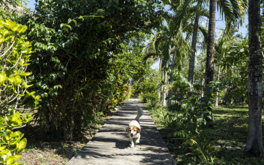 Belize Estate In San Ignacio With 23 Acres Of Beauty