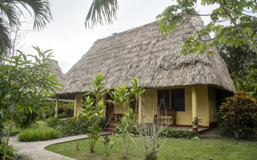 Belize Estate In San Ignacio With 23 Acres Of Beauty