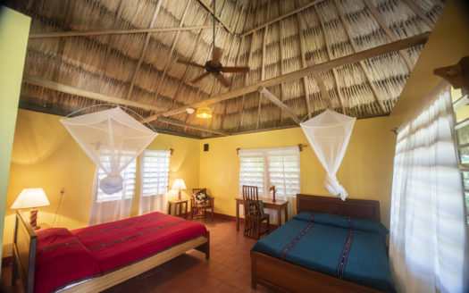 Belize Estate In San Ignacio With 23 Acres Of Beauty
