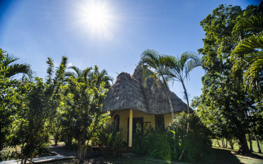 Belize Estate In San Ignacio With 23 Acres Of Beauty