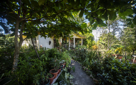 Belize Estate In San Ignacio With 23 Acres Of Beauty