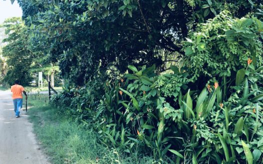 Oceanfront Land, Divided Into Five Parcels