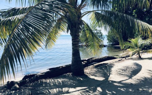 Oceanfront Land, Divided Into Five Parcels