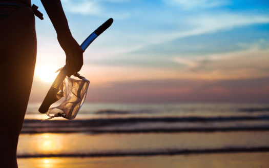 Oceanfront Land, Divided Into Five Parcels