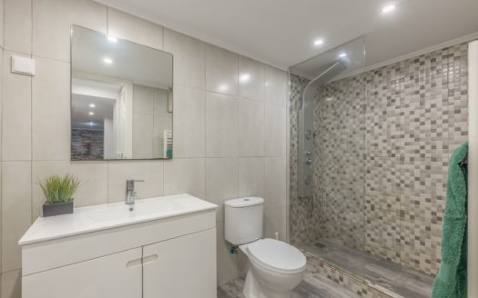 T2+1 Furnished Penha França